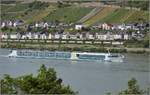 Bahn am Mittelrhein in Reihen. Reihen von Häusern in Lorchhausen, Reihen von Kabinen auf der Alina und eine Reihe Silowagen mit einer Railpool 186, vor Querreihen von Reben. Juni 2019.