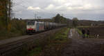 186 498-2 von DB-Schenker kommt aus Richtung Aachen-West und fährt die Gemmenicher-Rampe hoch mit einem langen Ölleerzug aus Basel(CH) nach Antwerpen-Petrol(B) und fährt in Richtung