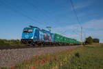 Am blühenden Mohn vorbei zieht 186 941-1 der LTE einen Containerzug in Richtung Magdeburg.