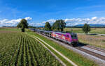 186 383 mit einem leeren Autozug am 02.09.2023 bei Langenisarhofen.