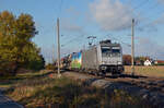 186 381 der akiem führte am 12.11.23 einen Toyota-Autozug durch Wittenberg-Labetz Richtung Falkenberg(E).