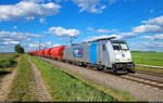 186 431-3 bahnt sich mit Kali in Braschwitz Richtung Halle (Saale) an.

🧰 Railpool GmbH, vermietet an die Rheinische Bahnpersonal- und Verkehrsgesellschaft mbH (RBP), eingesetzt bei DB Cargo
🕓 5.5.2024 | 18:16 Uhr