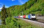 186 295 mit TEC 40679 am 26.04.2024 bei Ingling.