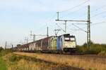 Railpool 186 295-2, vemietet an Lineas, mit Volvo-Logistikzug DGS 4625X Hallsberg RB - Gent Zeehaven (Diepholz, 18.10.2024).