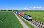 186 502 mit DGS 40679 am 20.05.2024 bei Stephansposching.