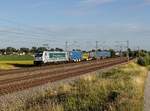 Die 187 311 mit einem KLV-Zug am 05.07.2019 unterwegs bei Hebertshausen.