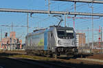 Lok 187 004-7 durchfährt am 16.12.2024 solo den Bahnhof Muttenz.