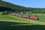 Ein seltener Gast in Bayern fuhr am Morgen des 10. Juni 2023 durch das Altmühltal. Auch wenn die Loks der Baureihe 189 von DB Cargo buchmäßig in Nürnberg Rbf beheimatet sind, so kommen sie doch inzwischen fast ausschließlich in Ostdeutschland und im angrenzenden Ausland zum Einsatz. So war ich einigermaßen überrascht, die 189 017 vor einem Autologistikzug nach Ingolstadt beobachten zu können. 