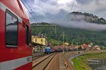 am Morgen des 22.August 2016 kreuzt in Königstein die S 1 Meissen-Triebigtal-Dresden die CD Lok 372 007-5 die kalt eine DB BR 189 und einen gemischten Güterzug am Haken hat.