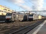 Der Zug der Captrain Italia stellte am Samstag, 15.1.2011, die ES 64 F4 104 in Rotkreuz ab und ging mit der ES 64 F4 094 und 088 weiter nach Norden.