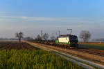 193 299 mit DGS 46679 am 26.01.2018 bei Langenisarhofen. 