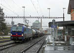 Sirupzug Aarberg-Anklam vom 14. Januar 2021, bespannt mit der Vectron 193 534, im Bahnhof Aarberg vor der Kulisse der Zuckerfabrik zur Abfahrt bereit.
Fotostandort Bahnübergang, Bildausschnitt Fotoshop.
Foto: Walter Ruetsch
 