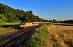 193 733 mit NJ 491 am 07.07.2023 bei Vilshofen.