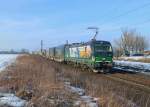 193 203 mit einem KLV am 03.02.2015 bei Plattling.