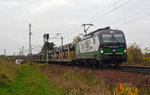 193 220 der Lokotrain führte einen leeren BLG-Autozug am 29.10.16 durch Zeithain Richtung Dresden.