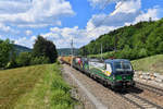 193 246 + 470 505 mit TEC 41931 am 12.05.2018 bei Wernstein am Inn.