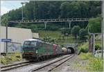 Durch die Gleiserneuerung zwischen Tecknau und Gelterkinden steht für den Süd-Nord Güterverkehr nur ein Trasse pro Stunde zur Verfügung, alles andere muss über den Berg, so