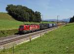 Die 193 555 und die X4E-673 mit einem KLV-Zug am 12.08.2018 unterwegs bei Straß.