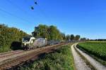 193 218 mit DGS 49192 am 29.09.2018 bei Langenisarhofen.