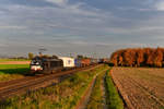 193 661 mit DGS 41850 am 15.10.2018 bei Stephansposching.