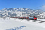 193 465 mit einem KLV am 05.02.2019 bei Steinen.