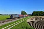 193 816 mit DGS 40678 am 17.05.2019 bei Langenisarhofen.