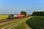 193 832 mit DGS 40678 am 13.06.2019 bei Langenisarhofen.