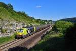 193 556 mit einem Kesselzug am 18.06.2019 bei Hagenacker.