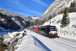 193 706 + 193 3xx mit TEC 42143 am 06.02.2020 bei St.