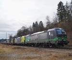 193 264  Born to rail  + 193 556  With the licence to rail  mit einem KLV-Zug Richtung München bei der Durchfahrt in Aßling/Obb., 20.02.2020.