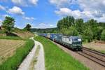 193 234 mit DGS 41161 am 21.05.2020 bei Seestetten.