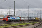 Siemens Vectron 193 472-8 durchfährt den badischen Bahnhof.