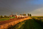 193 284 mit DGS 41168 am 25.06.2020 bei Strasskirchen.