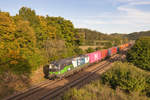 193 236 ELL/WLC mit einem Containerzug bei Dietfurt b.