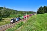 193 605 mit einem Containerzug am 12.08.2020 bei Ingling.