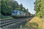 Ein Containerzug mit der 193 880-2 gesehen am 05.08.2020 im Haunetal.