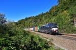 193 867 mit einem Containerzug am 27.09.2020 bei Ingling.