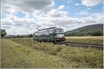 X4E -644 (193 644-2) - Himmelstadt - 26.08.2020