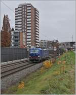 Nur 10 Minuten am Bahndamm gestanden... 
Nach dem Bild mit dem erwarteten RABe 521 117 wollte ich schon gehen, doch dass grüne Signal in Richtung Biel/Bienne war Grund genug, noch kurz zu warten und dann kam auch schon die WRS 193 493 die noch einen blauen Farbtupfer in den nebligen Tag setzte. 
Auch dieses Bild entstand zwischen Grenchen Süd und Lengnau. 

11. November 2020