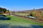 193 246 mit einem leeren Autozug am 07.11.2020 bei Vilshofen.