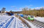 193 831 mit einem Holzzug am 24.01.2021 bei Seestetten.