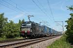 Mit dem  LKW Walter -KLV (Geleen-Lutterade - Novara Boschetto) fuhr am Mittag des 27.05.2020 die MRCE/BLSC X4 E-712 (193 712-7) bei Hügelheim über die KBS 702 durchs Markgräflerland in