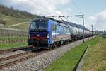 Vectron 193 522 von SBB Cargo International mit einem Kesselwagenzug bei Cressier am 15.