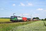 ELL 193 727  EUROPEAN GATEWAY SERVICES , vermietet an RTB Cargo, mit Containerzug in Richtung Osnabrück (bei Melle, 16.6.2021).