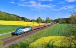 193 250 mit DGS 48963 am 10.05.2021 bei Einöd.