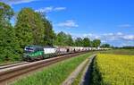 193 233 mit DGS 47100 am 25.05.2021 bei Langenisarhofen.