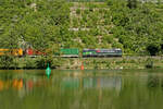 193 209 ELL/SBB Cargo mit einem Containerzug bei Karlstadt Richtung Würzburg, 07.05.2020