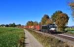 193 873 mit DGS 41139 am 24.10.2021 bei Langenisarhofen.