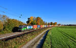 193 224 mit einem KLV am 24.10.2021 bei Langenisarhofen.