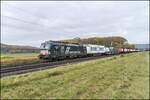 X4E -704 (193 704-4) mit einen Containerzug am 27.10.2021 bei Himmelstadt in Richtung Würzburg unterwegs.